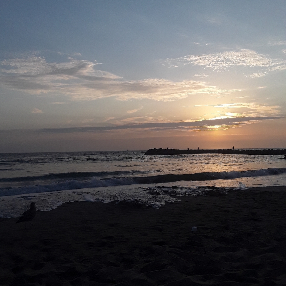 Meet your Posher, Isabelle